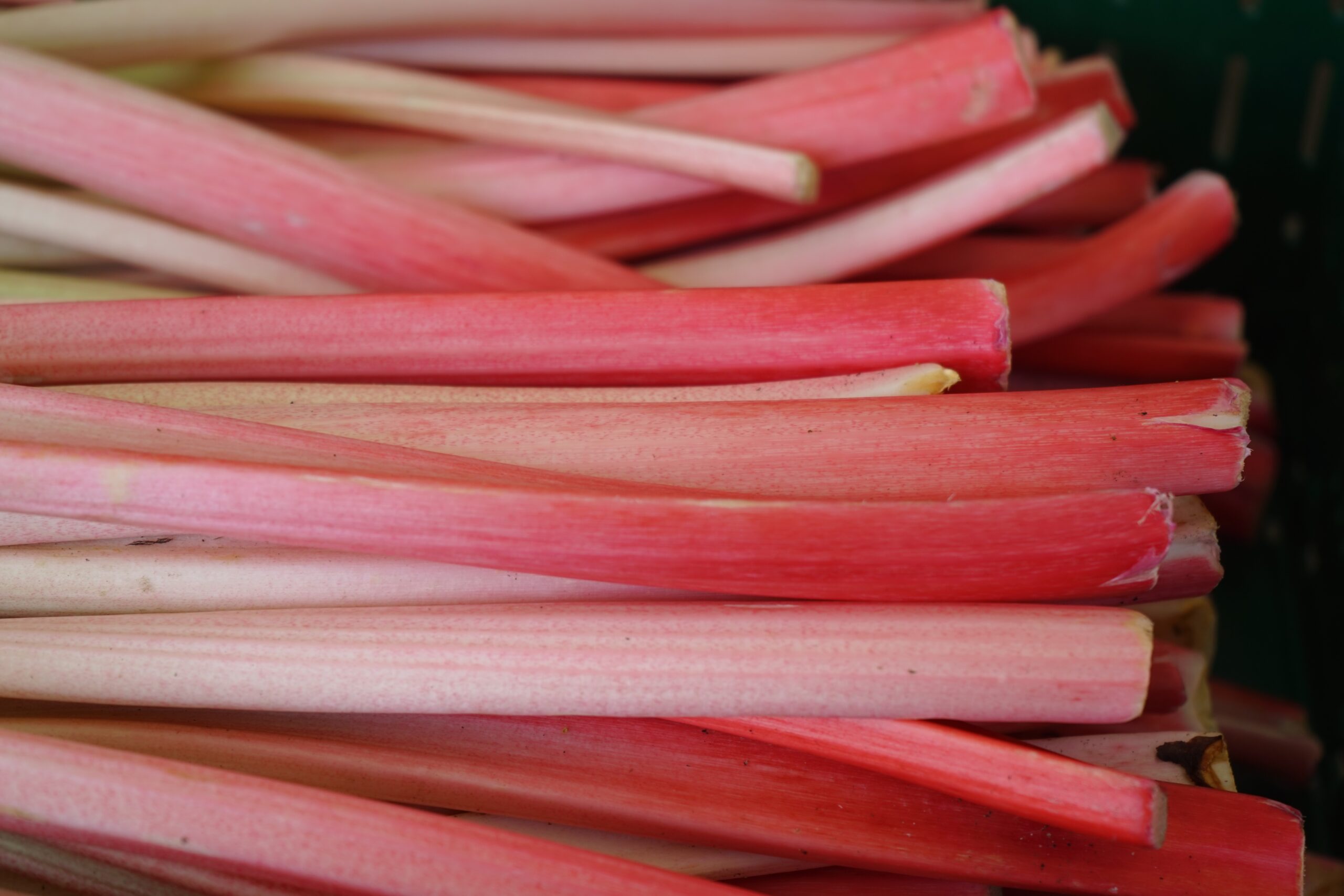 Eau rafraîchissante parfumée à la rhubarbe et aux queues de fraises Eau rafraîchissante parfumée à la rhubarbe et aux queues de fraises